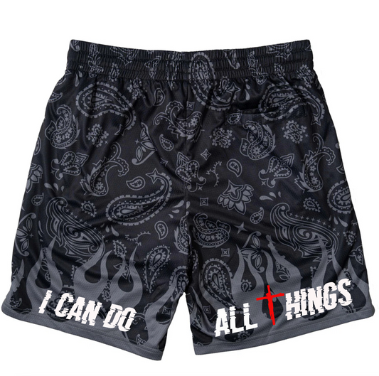 All Things Fire Paisley Shorts
