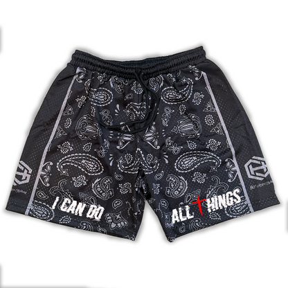 All Things Paisley IV Shorts