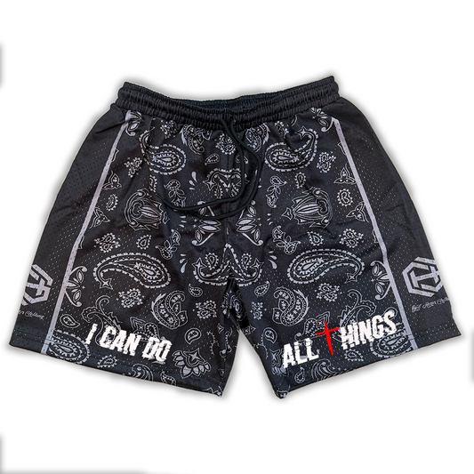 All Things Paisley IV Shorts